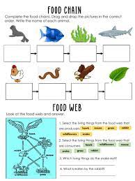 Pin By Tram Nguyễn On Food Chain Food Chain Food Web Interactive