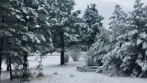 Arizona Weather Snow In Northern Ariz Phoenix To Get Showers Wind The accurate flagstaff weather forecast for today introduces the most precise weather for the whole day by the hour. arizona weather snow in northern ariz