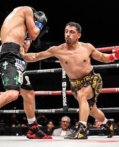 Former champ Luis Alberto Lopez stops Daniel Lugo in three in ProBoxTV co-main