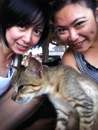 Fun Fun Fun in the Sun "Beach Collection"