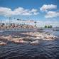 La Traversée internationale du lac St-Jean