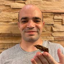 Insect Photo Competition by Mimmy Adventure