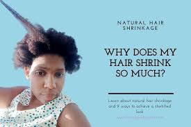 How to moisturize your natural hair with just oil and water apply some oil around your scalp. Why Does My Natural 4c Hair Shrink So Much Loving Kinky Curls