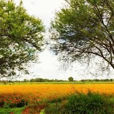 Distance between hirekerūr and surrounding cities on map, list of distance values from hirekerur to near locations in kilometers and miles. Hirekerur 2021 129 Places To Visit In Karnataka Top Things To Do Reviews Best Tourist Places To Visit Photo Gallery Hellotravel India