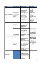 Eemb 3 Animal Diversity Chart Sheet1 Pdf Phyla Classes To