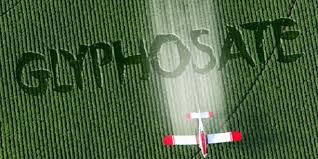 Résultat de recherche d'images pour "glyphosate"