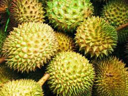 Sejak 1980 lagi durian kunyit tersohor merata dunia. Don Moen Author At Binary Options Page 3 Of 4