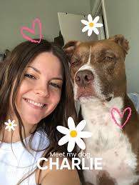 Celebrate Your Adorable Baby Doggo: Tips for New Pet Owners