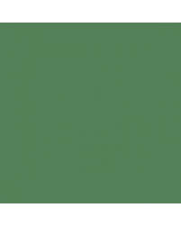 Image result for Almond Green 2011 Aston Martin