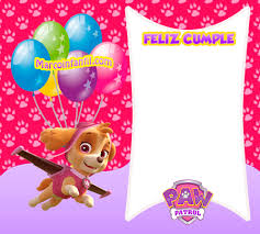 Tarjetas o invitaciones para imprimir gratis. Marcos De Skye Paw Patrol Feliz Cumpleanos Marcos Infantiles