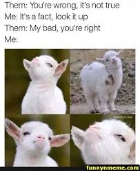 Pin By Ehhh Fakc Of On Hauskaa In 2021 Funny Animal Jokes Funny Animal Memes Funny Relatable Memes Funny memes 2021 and funny memes pictures.