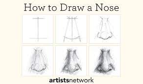 Drawing For Beginners Free Step By Step Guide Artists Network Drawing For Beginners Nose Drawing Step By Step Drawing