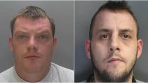 250,000 cannabis farm found in Mold cottage