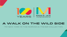 MOCA: A Walk on the Wild Side
