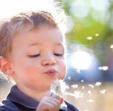 The Australian Fetal Alcohol Spectrum Disorders Action Plan 2013–2016