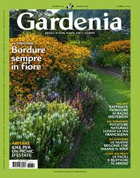 Fiorellini a grappolo profumatissimi che crescono. Gardenia Giugno 2018 By Lidia Montermini Issuu