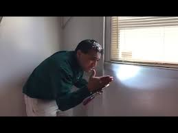 We're dothan's most experienced family owned pest control service. Pest Control Gold Coast Detecting Termites With Pest Ex Youtube