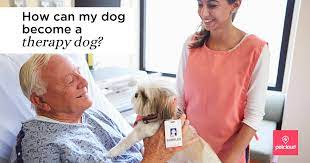 How Can My Dog Become A Therapy Dog?