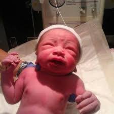 Shane Guffey's Instagram, Twitter & Facebook