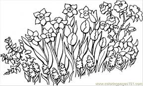 Download or print easily the design of your choice with a single click. Flowers In The Garden Coloring Page For Kids Free Garden Printable Coloring Pages Online For Kids Coloringpages101 Com Coloring Pages For Kids