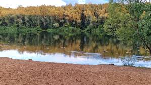 Photo: Nudist beach, beach, Moscow, Schukinskiy Peninsula — Yandex Maps