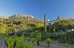 Beaumes de venise is an appellation of wines from the eastern central region of the southern half of the rhône valley. Tourism In Beaumes De Venise Visit Beaumes De Venise Village Near The Mont Ventoux Famous For Its Muscat Wine Avignon Et Provence