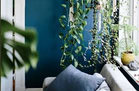 $26.97 with subscribe & save discount. How To Grow Plants In Your Bathroom Well Good