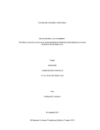 Pdf) Thèse De Doctorat: Déconstruire L'accouchement : Épistémologie De La  Naissance, Entre Expérience Féminine, Phénomène Biologique Et Praxis  Technomédicale | Stéphanie St-Amant - Academia.edu