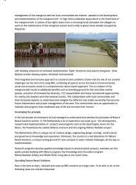 A position paper example, in this case, will help you learn more about the contents of each section. Cover Position Paper Building With Nature Exploring Nature Based Solutions Wetlands International