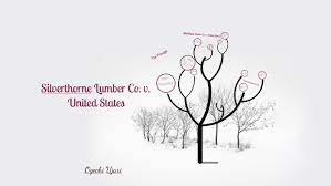 Fruit of the poisonous tree is the eleventh episode of season one of abc's once upon a time. Fruit Of The Poisonous Tree By O9gechi Ujari On Prezi Next