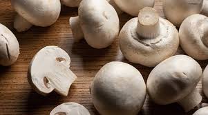 Don't miss any opportunities today. How Mushrooms Can Help You Fight Cancer Diabetes Lifestyle News The Indian Express