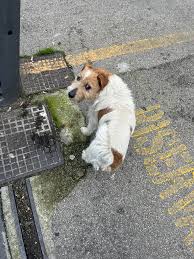 Buonasera a tutti, gentilmente, mi sapete indicare i migliori asili nido a  Giugliano per un bimbo che ad ottobre compirà 2 anni? Quindi deve essere  ottimo in tutto, dal cibo all'educazione ecc..