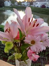 World teachers' day, also known as international teachers. Aldi S 3 99 Flowers Make A Great Early Mother S Day Gift Clark Howard