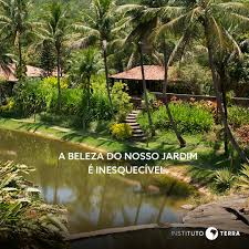 O instituto água e terra realiza ações de educação ambiental para o exercício da ecocidadania da população infanto juvenil, adulta, bem como para o público interno. Instituto Terra Fotos Facebook