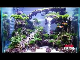 Fantasi Aquatic Youtube Aquascape Aquarium Aquascape Waterfall