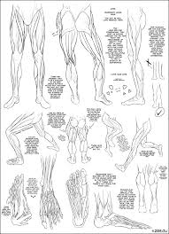 Collection by i knead serenity. Muscles Lower Body Drawings Character Design Anatomy Art