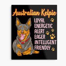 Metal dining table legs australian kelpie puppies. Australian Kelpie Metal Prints Redbubble