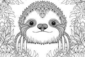 Coloring pages are all the rage these days. Sloth Coloring Pages Free Printable Coloring Pages Of Sloths To Help You Slow Down Relax Like A Sloth Printables 30seconds Mom