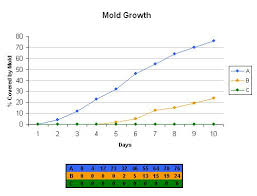 Mold Bread Experiment What Makes Mold Grow