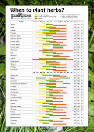 When To Sow And Plant Herbs Planting Herbs Planting Herbs Indoors Garden Seeds