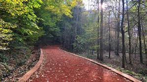 belgrad ormani nerede nasil gidilir yeme icme biz evde yokuz geziler istanbul ormanlar