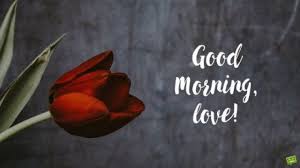 Good morning love messages for girlfriend to my angel. Good Morning My Love Messages For Your Lover Good Morning Love Say It With First Breath In The State