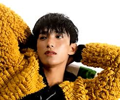 DON QUIXOTE — JOSHUA ˚ * ❀ Fallin' Flower