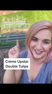 2義母後編チューリップを植えよう