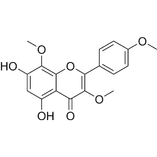 Image result for Eschenbachia stricta