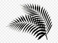 Hand drawn falling autumn leaves red maple orange a leaf. 49 Ide Daun Daun Abstrak Gambar