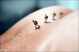 The natural sense of pride that comes with doing what you're good at is good for you. How To Know If You Re On A Good Path Penelope Trunk Careers