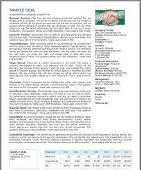 The Angel Pitch Guy Executive Summary Executive Summary Template Marketing Plan Example