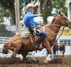 At 1st you have to do. Best Ever Pads Saddle Pads Made In The Usa