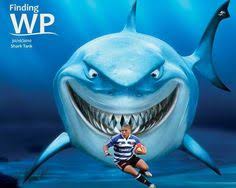 2012super15 rugby brumbies vs western force (full). 7 Stormers Ideas Rugby Team Rugby Shark